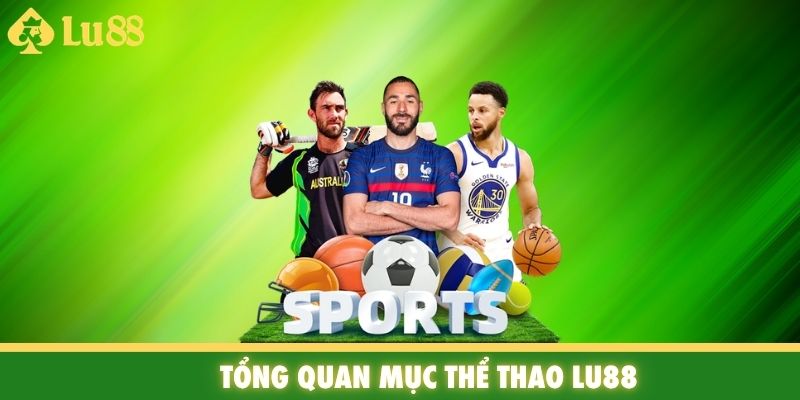 Tổng quan mục thể thao Lu88