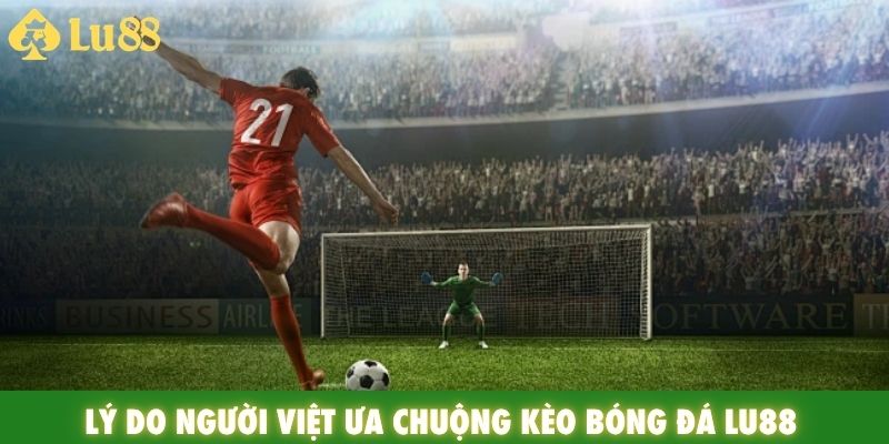 Lý do người Việt ưa chuộng kèo bóng đá Lu88